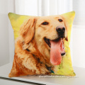 /msite/products/detail/productid/57941387/id/77354.html